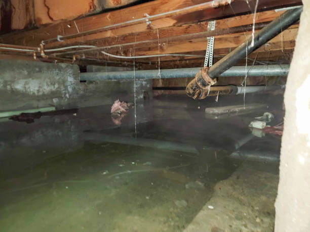 24/7 water damage repair in Plandome, NY