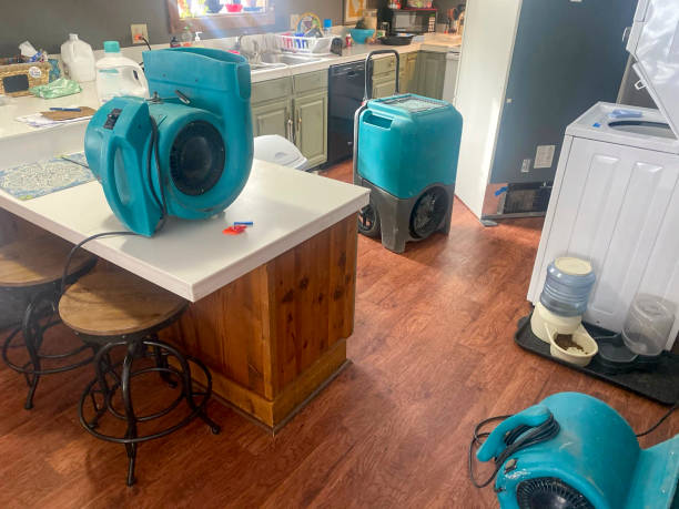 Best Flooded house restoration  in Plandome, NY