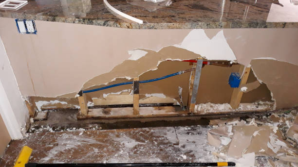 Best Sewage cleanup and water damage restoration  in Plandome, NY