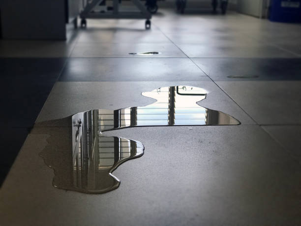 Best Water damage restoration insurance claims  in Plandome, NY