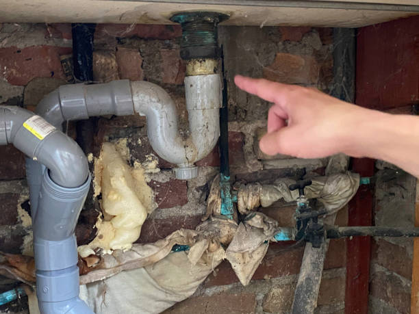 Best Basement water damage restoration  in Plandome, NY