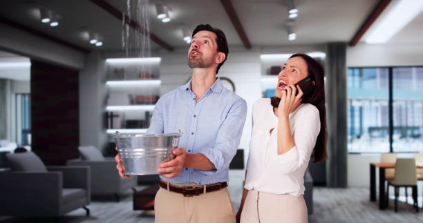 Best Water damage restoration cost  in Plandome, NY