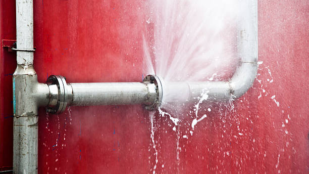 Best Local water damage restoration  in Plandome, NY